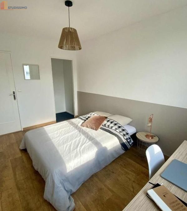 Studio 12m² Saint-Pierre-des-Corps - Meublé, étage 3 - Photo 1