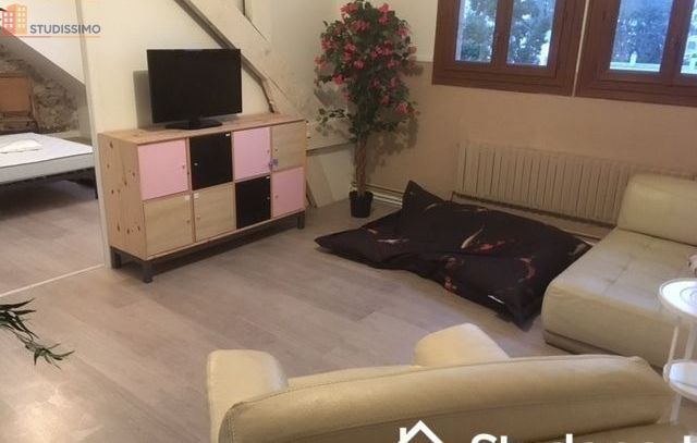 Studio meublé 14m² Tours centre - Lumineux, DPE A - Photo 22