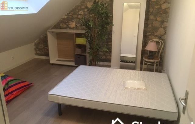Studio meublé 14m² Tours centre - Lumineux, DPE A - Photo 2