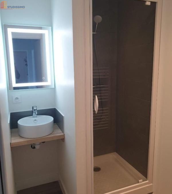 Studio meublé 11m² Tours 37200 - Meublé, DPE A - Photo 5