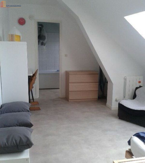 Studio 20m² Tours centre - Calme et lumineux - Photo 5