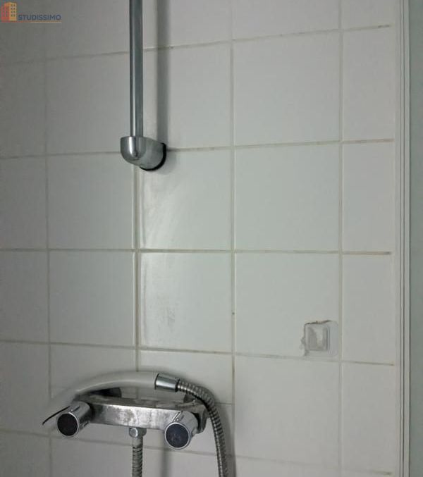 Studio 17m² Tours 37200 - Photo 3
