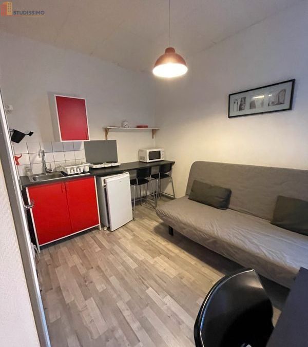 Studio meublé 15m² Tours - Bord de Loire, lumineux - Photo 18
