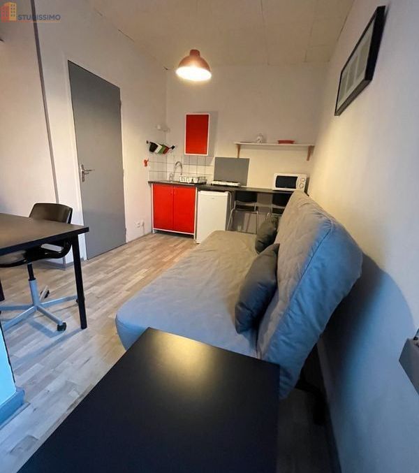 Studio meublé 15m² Tours - Bord de Loire, lumineux - Photo 16