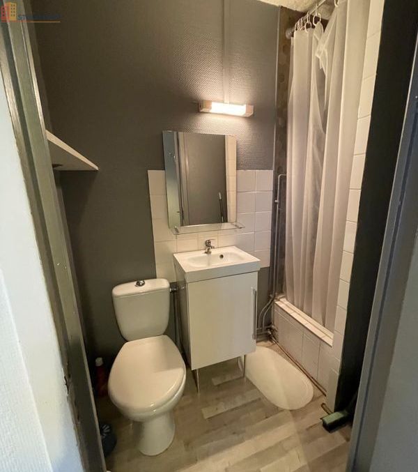 Studio meublé 15m² Tours - Bord de Loire, lumineux - Photo 3