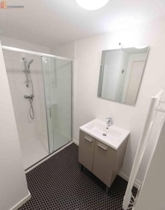 Studio meublé 19m² Tours 37200 - Meublé, 1 pièce - Photo 22