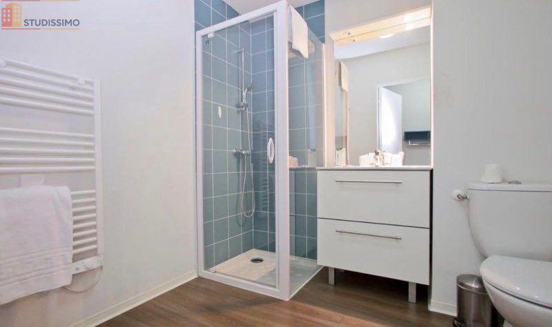 Studio meublé 20m² Tours centre - Meublé, DPE C - Photo 13