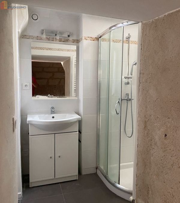 Studio 38m² Tours centre - Grand volume, pièce voûtée 10m² - Photo 21
