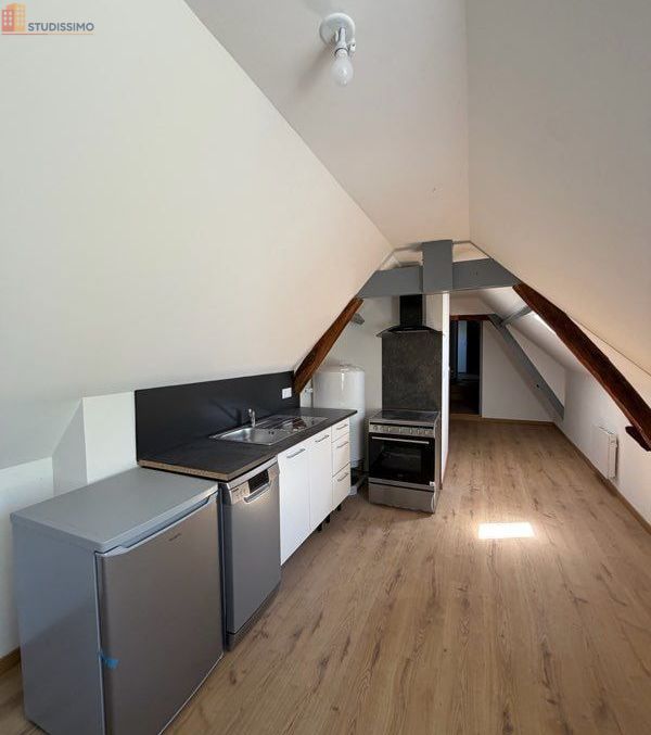 Studio 35m² Amboise centre - Meublé, lumineux - Photo 18