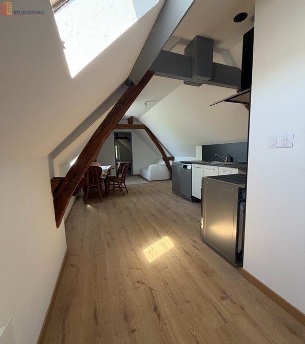 Studio 35m² Amboise centre - Meublé, lumineux - Photo 15