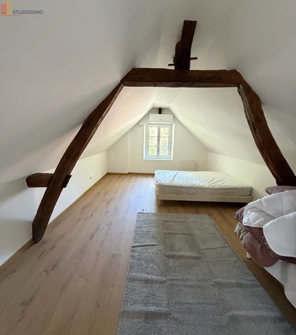Studio 35m² Amboise centre - Meublé, lumineux - Photo 9