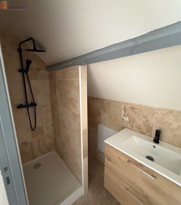 Studio 35m² Amboise centre - Meublé, lumineux - Photo 5