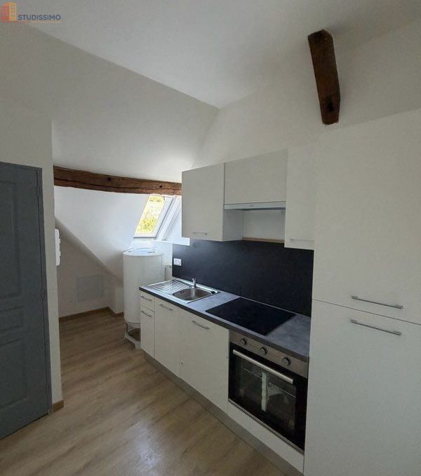 Studio 40m² Amboise - Meublé, cœur de ville - Photo 11