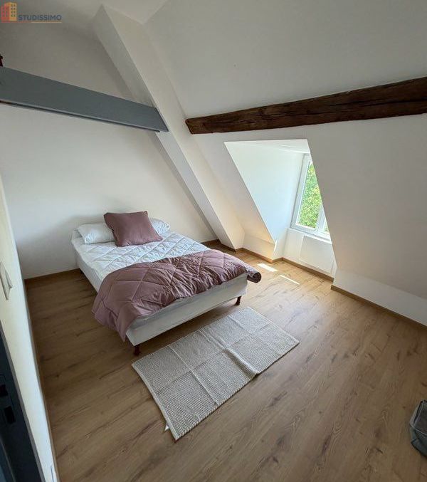 Studio 40m² Amboise - Meublé, cœur de ville - Photo 8