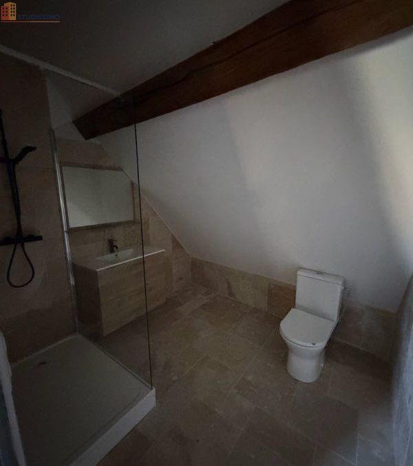 Studio 40m² Amboise - Meublé, cœur de ville - Photo 7