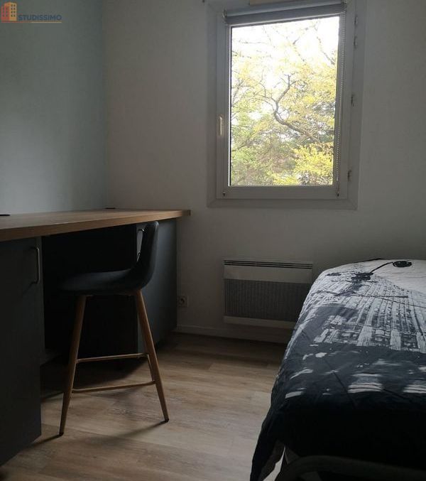 Studio meublé 14m² Tours sud - Refait à neuf - Photo 12