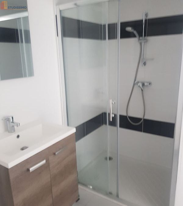 Studio meublé 22m² Tours - Quartier des Deux Lions - Photo 3