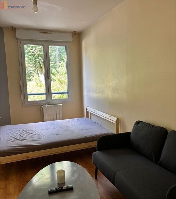 Studio meublé 33m² Tours 37100 - Meublé, DPE D - Photo 4