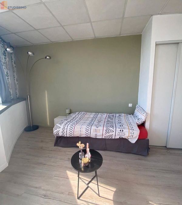 Studio meublé 18m² Tours centre - Plein centre-ville - Photo 14