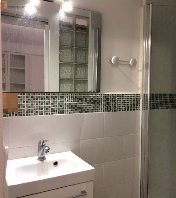Studio meublé 13m² La Riche (Tours) - Meublé, cosy - Photo 1
