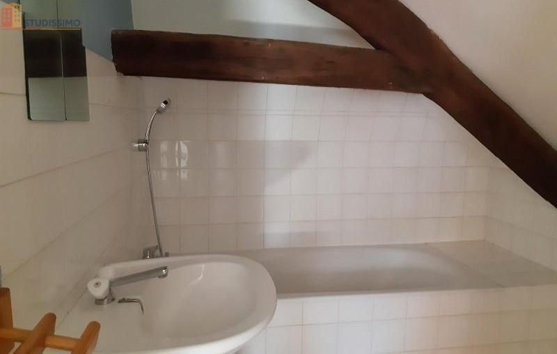 Studio 22m² Tours - - Photo 25