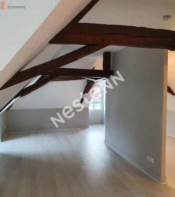 Studio 29m² Loches - 2e étage, lumineux - Photo 29
