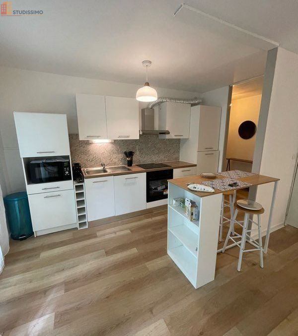 Studio 38m² Saint-Avertin - Jardin, meublé - Photo 5