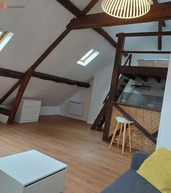 Studio meublé 36m² Tours centre - Calme, lumineux - Photo 12