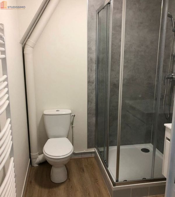 Studio 25m² Ligueil - Meublé, centre-ville - Photo 3