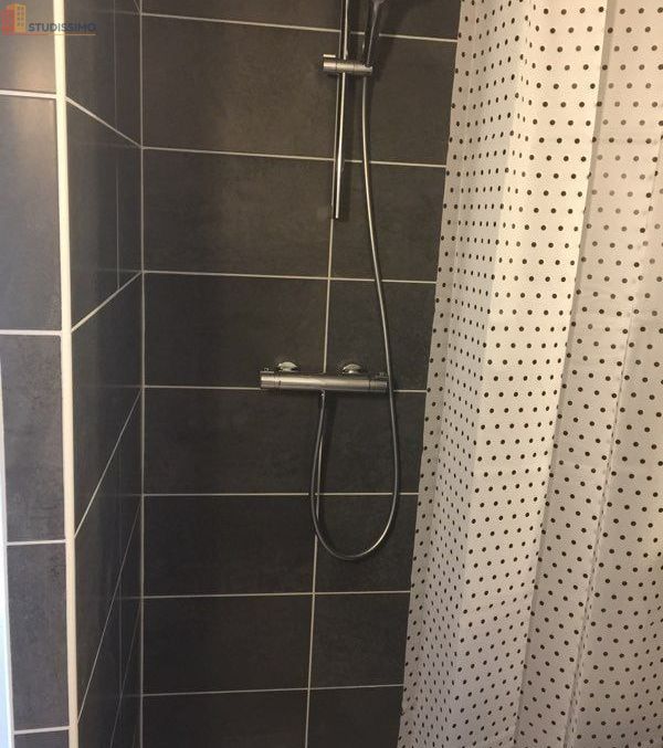 Studio 20m² Tours 37000 - Meublé, lumineux - Photo 1