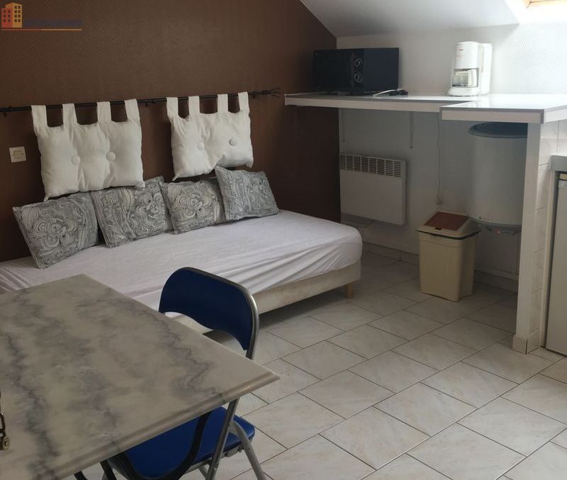 Studio meublé 13m² Tours centre - Proche CHU Bretonneau - Photo 19