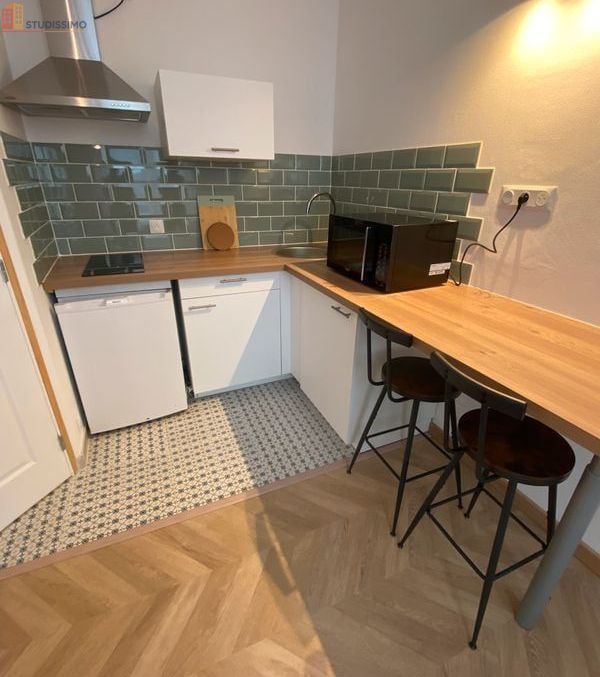 Studio meublé 16m² Tours centre - Calme, lumineux - Photo 10
