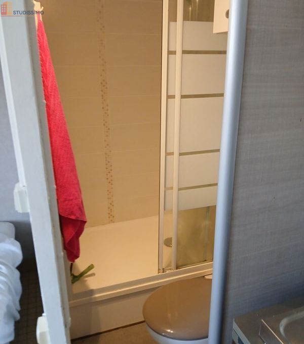 Studio 14m² Tours centre - Meublé, dernier étage - Photo 8