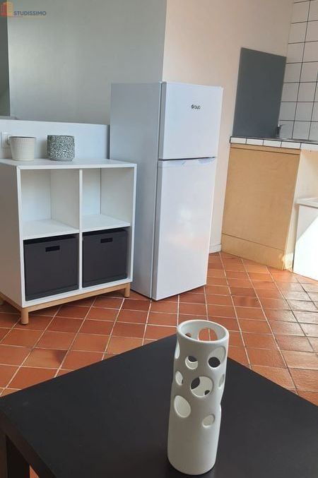 Studio meublé 30m² Tours - Proche CHU Bretonneau, jardin botanique - Photo 10