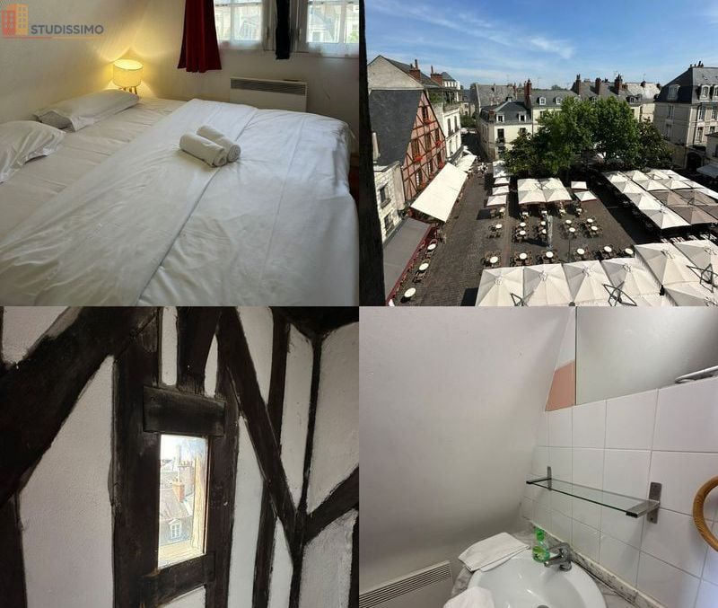 Studio meublé 13m² Tours centre - Vue sur Place Plumereau - Photo 5