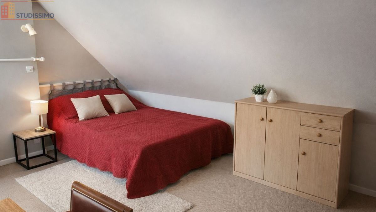 Studio meublé 25m² Pocé-sur-Cisse - Étage élevé, lumineux - Photo 9