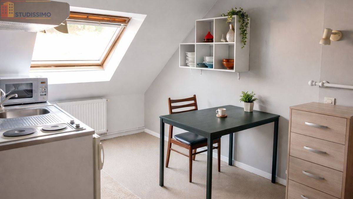 Studio meublé 25m² Pocé-sur-Cisse - Étage élevé, lumineux - Photo 8