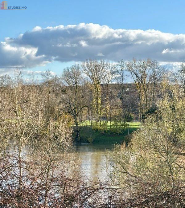 Studio meublé 25m² Saint-Cyr-sur-Loire - Lumineux, bord de Loire - Photo 5