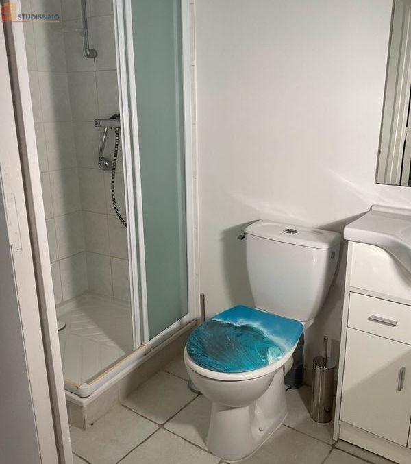 Studio meublé 23m² Sonzay - Meublé, lumineux - Photo 4