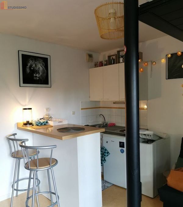 Studio meublé 22m² Tours centre - Place de parking - Photo 20