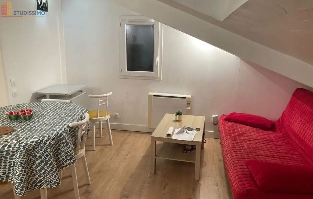 Studio meublé 19m² Grenoble centre - Lumineux, dernier étage - Photo 6