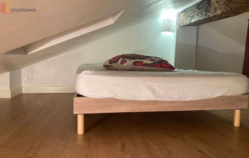 Studio meublé 19m² Grenoble centre - Lumineux, dernier étage - Photo 2