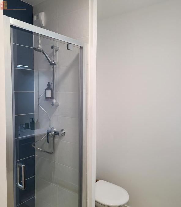 Studio meublé 15m² Saint-Martin-d'Hères - Meublé, DPE B - Photo 4