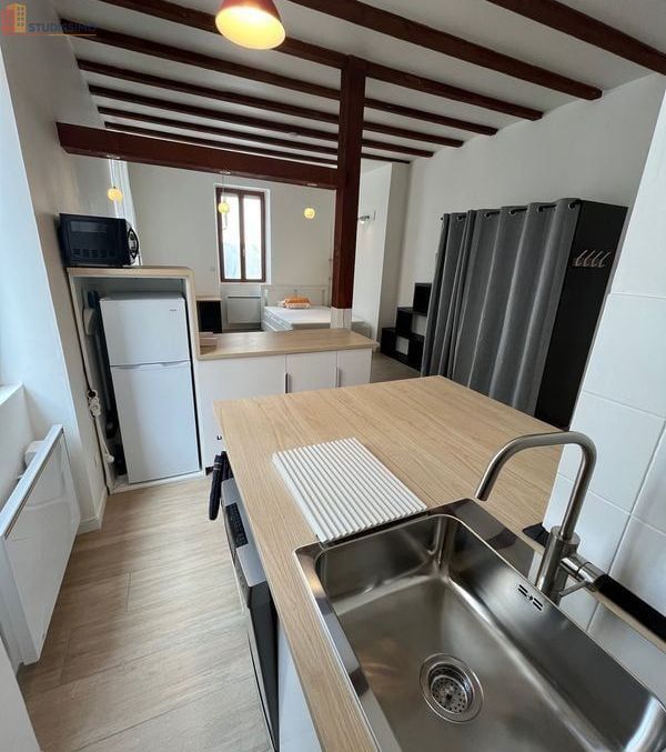 Studio meublé 32m² Grenoble centre - Rénové, proche tram A - Photo 29