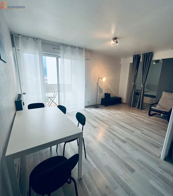 Studio meublé 32m² Grenoble 38100 - Étage élevé, T1 bis - Photo 10