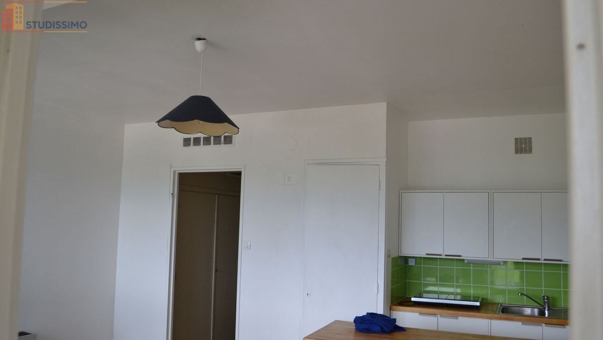 Studio 32m² Grenoble Ile Verte - Lumineux, vue dégagée - Photo 1