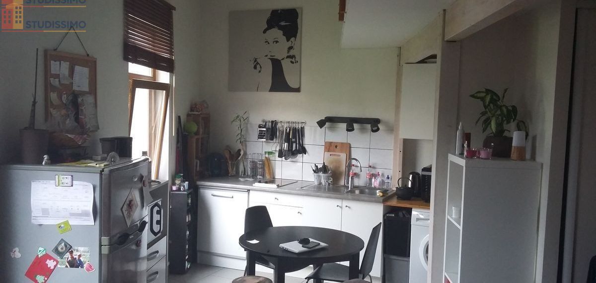 Studio 35m² Grenoble 38100 - Mezzanine, quartier Jeanne d'Arc - Photo 18