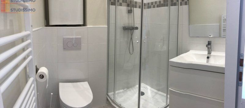 Studio 24m² Grenoble 38000 - Refait à neuf, meublé - Photo 18