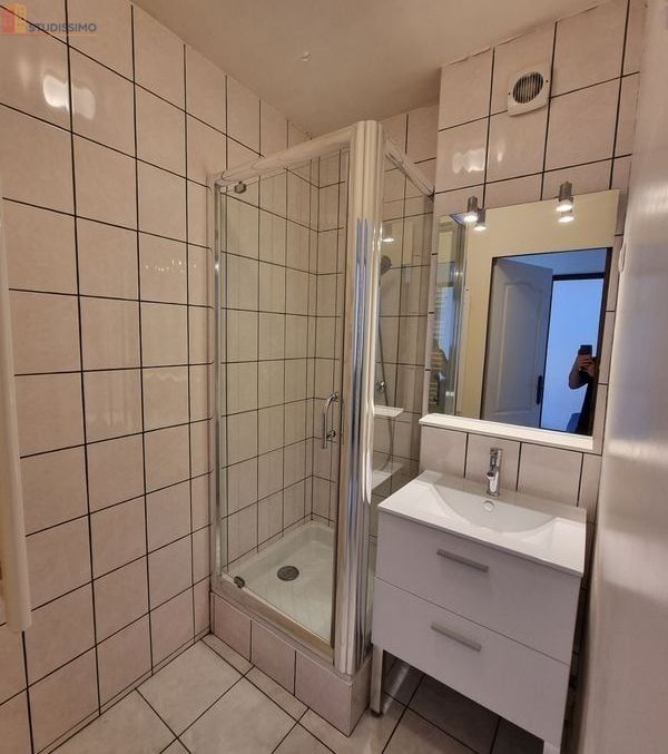 Studio meublé 28m² Grenoble centre - Meublé, 3e étage - Photo 12
