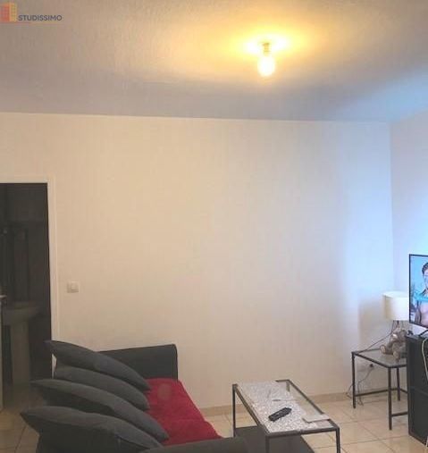 Studio 29m² Charvieu-Chavagneux - Aucun caractère mentionné - Photo 9